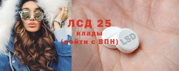 PSILOCYBIN Гусиноозёрск