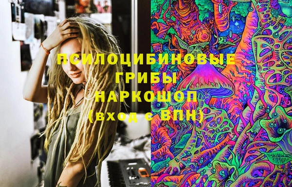 спиды Гусь-Хрустальный