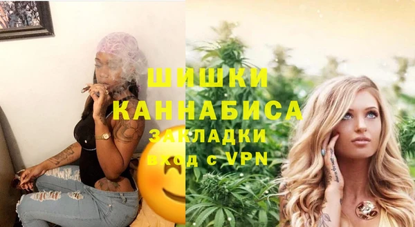PSILOCYBIN Гусиноозёрск