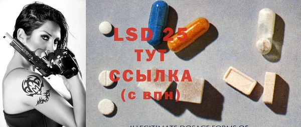 PSILOCYBIN Гусиноозёрск