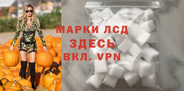 PSILOCYBIN Гусиноозёрск