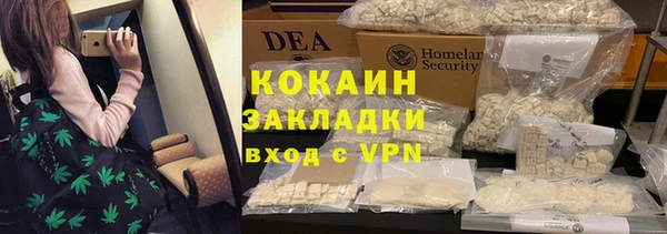 PSILOCYBIN Гусиноозёрск